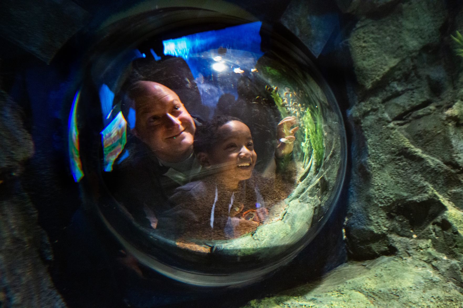 St. Louis Aquarium opens on Christmas Day